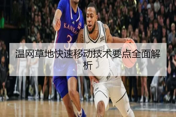 温网草地快速移动技术要点全面解析
